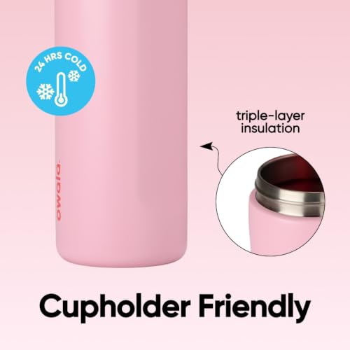 Owala FreeSip Insulated Stainless Steel Water Bottle with Straw for Sports and Travel, Leak Proof, BPA-Free, 710ml, Iced Bree