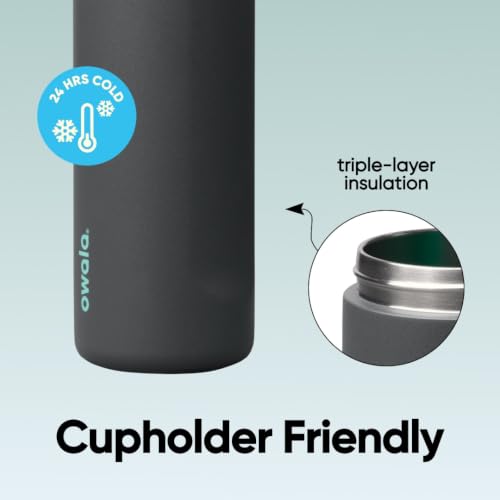 Owala FreeSip Insulated Stainless Steel Water Bottle with Straw for Sports and Travel, Leak Proof, BPA-Free, 710ml, Iced Bree