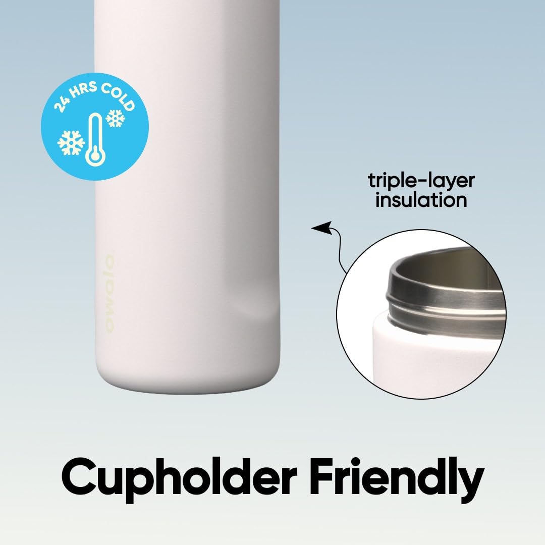 Owala FreeSip Insulated Stainless Steel Water Bottle with Straw for Sports and Travel, Leak Proof, BPA-Free, 710ml, Iced Bree