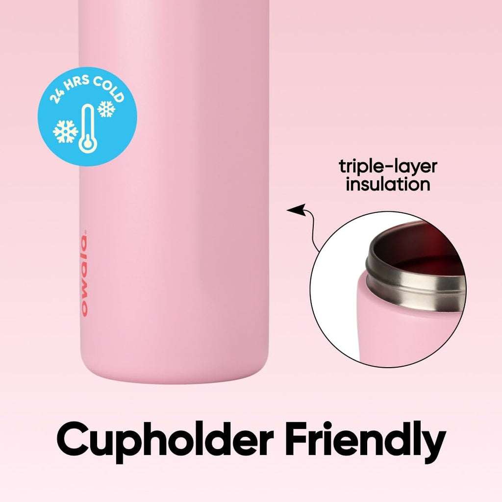 Owala FreeSip Insulated Stainless Steel Water Bottle with Straw for Sports and Travel, Leak Proof, BPA-Free, 710ml, Iced Bree