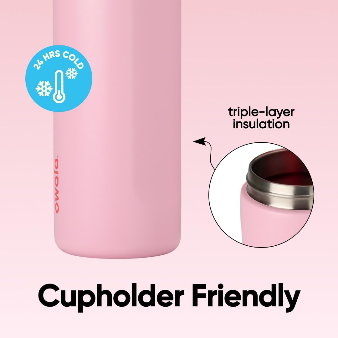 Owala FreeSip Insulated Stainless Steel Water Bottle with Straw for Sports and Travel, Leak Proof, BPA-Free, 710ml, Iced Bree