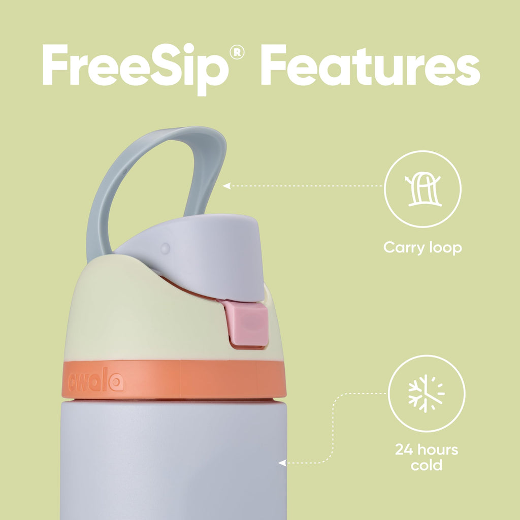 Owala FreeSip Insulated Stainless Steel Water Bottle with Straw for Sports and Travel, Leak Proof, BPA-Free, 710ml, Iced Bree