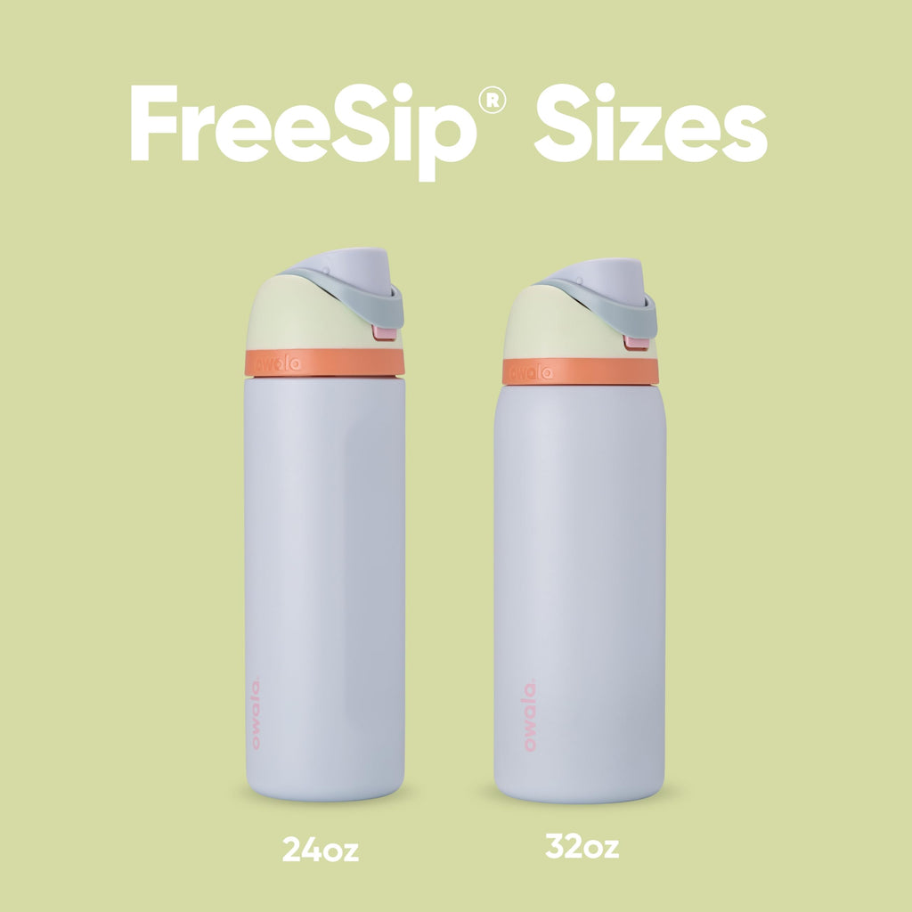 Owala FreeSip Insulated Stainless Steel Water Bottle with Straw for Sports and Travel, Leak Proof, BPA-Free, 710ml, Iced Bree